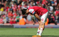 Arsenal sẽ nhớ Song hơn là van Persie