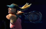 Djokovic vào chung kết, Sharapova đấu Azarenka
