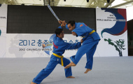Việt Nam tham dự Giải Vô địch Vovinam châu Á