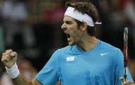 Del Potro vượt khó để tiến vào tứ kết Erste Open