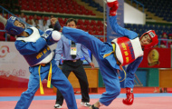 Kết thúc Giải vô địch vovinam châu Á lần 2-2012: Việt Nam đứng thứ nhì sau chủ nhà Iran
