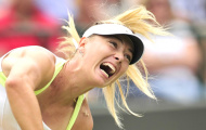 Sharapova đặt mục tiêu cho năm 2013: Hạ Serena & giành Wimbledon