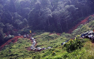 2 xế off-road dự giải Rainforest Challenge Malaysia