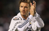 Điểm tin chiều 25/11: David Beckham về đầu quân cho QPR?