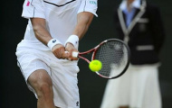 Điểm tin Tennis, F1 ngày 28/11: Nole dốc sức cho Úc mở rộng