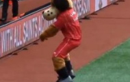 Video: Linh vật Sammy Saint (mascot) của Southampton nhảy Gangnam Style!
