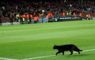 Điểm tin trưa 06/12: Mèo đen bí ẩn xuất hiện Nou Camp