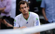 Điểm tin thể thao ngày 08/12: Federer sẽ tham dự Olympic 2016