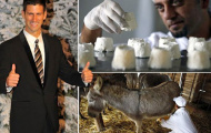 Novak Djokovic làm “ông trùm” sữa lừa