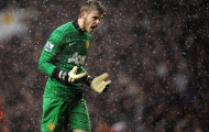 Vì sao Fergie sẽ bán David de Gea?