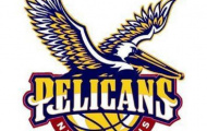 New Orleans Hornets đổi tên: Từ 'Ong bắp cày' thành 'Chim bồ nông'
