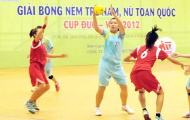 Tổng kết bộ môn bóng ném TPHCM 2012-1013: Giữ vững thành tích