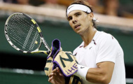 Chuyển động ATP World Tour 2013: Nadal đã đến Chilê