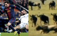 Các cầu thủ Madrid bị ví như những con linh cẩu