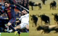 Real Madrid sẽ kiện TV3 vì tội lăng mạ cầu thủ