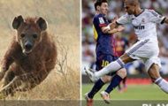 Điểm tin trưa 09/02: Real kiện truyền hình Catalan