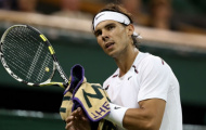 Nadal thành lập công ty quản lý VĐV