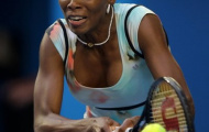 Venus Williams vào bán kết tại Brazil