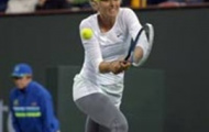 Video Indian Wells: Sharapova khởi đầu gian nhan