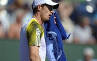 Video Indian Wells: Murray, chiến thắng khó khăn