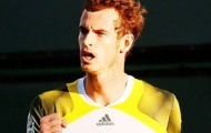 Video Miami Masters: Murray - Tomic, kết thúc chóng vánh