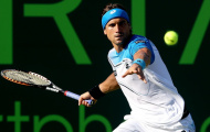 Miami Masters 2013 - David Ferrer ngược dòng vào Bán kết