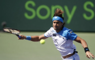 Murray hẹn Ferrer ở chung kết Giải Miami