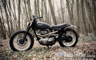 Kawasaki W650 Scrambler – Quái thú rừng hoang