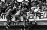 Cội nguồn của bạo lực bóng đá
