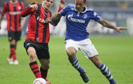 20h30 ngày 20/04, Eintracht Frankfurt vs Schalke 04: Bắt nạt tân binh