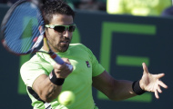 Tipsarevic băng băng về đích tại BMW Open
