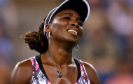 Venus Williams rút lui khỏi Madrid Open
