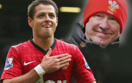 Chicharito tự hào vì được là học trò của Sir Alex