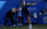 Giải Queen: Murray đánh bại Tsonga, gặp Cilic ở chung kết