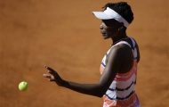 Venus Williams rút lui khỏi Wimbledon