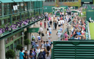 Cơn sốt Murray đẩy giá vé Wimbledon tăng vọt