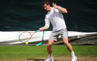 Lịch sử Wimbledon qua những con số