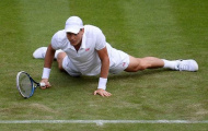Ngày bình yên ở Wimbledon