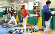 Taekwondo - bao giờ trở lại đỉnh cao?