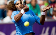 Nhanh gọn 'giải quyết' Lino, Serena có mặt tại tứ kết Swedish Open