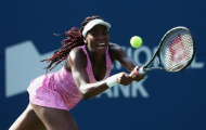 Đầu cực xuôi, nhưng đuôi không lọt, Venus Williams chia tay Toronto