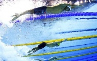 Giải bơi vô địch quốc gia 2013: TP.HCM khẳng định sức mạnh