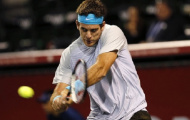 Japan Open (V2): Tsonga bị loại, Del Potro đi tiếp