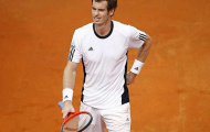 Andy Murray sẽ trở lại thi đấu cuối tháng 11/2013