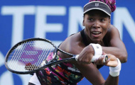 Venus Williams quyết định kết thúc sớm mùa giải 2013