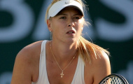 Sharapova sẽ trở lại ở Brisbane International 2014