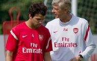 Arsene Wenger chào đón Fabregas trở lại Arsenal