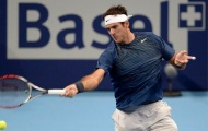 Del Potro hẹn Federer tại chung kết