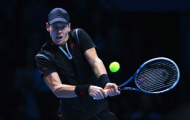 Thua sốc trước Berdych, Ferrer sắp bị loại