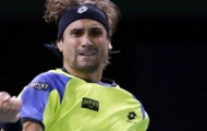 Video ATP World Tour Finals 2013: Nỗ lực như Ferrer